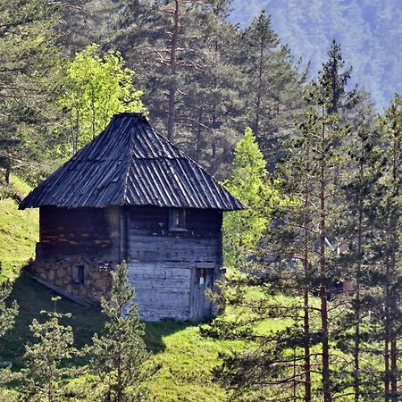 Apartamento Sedmica Zlatibor Vip Bogic Exterior foto