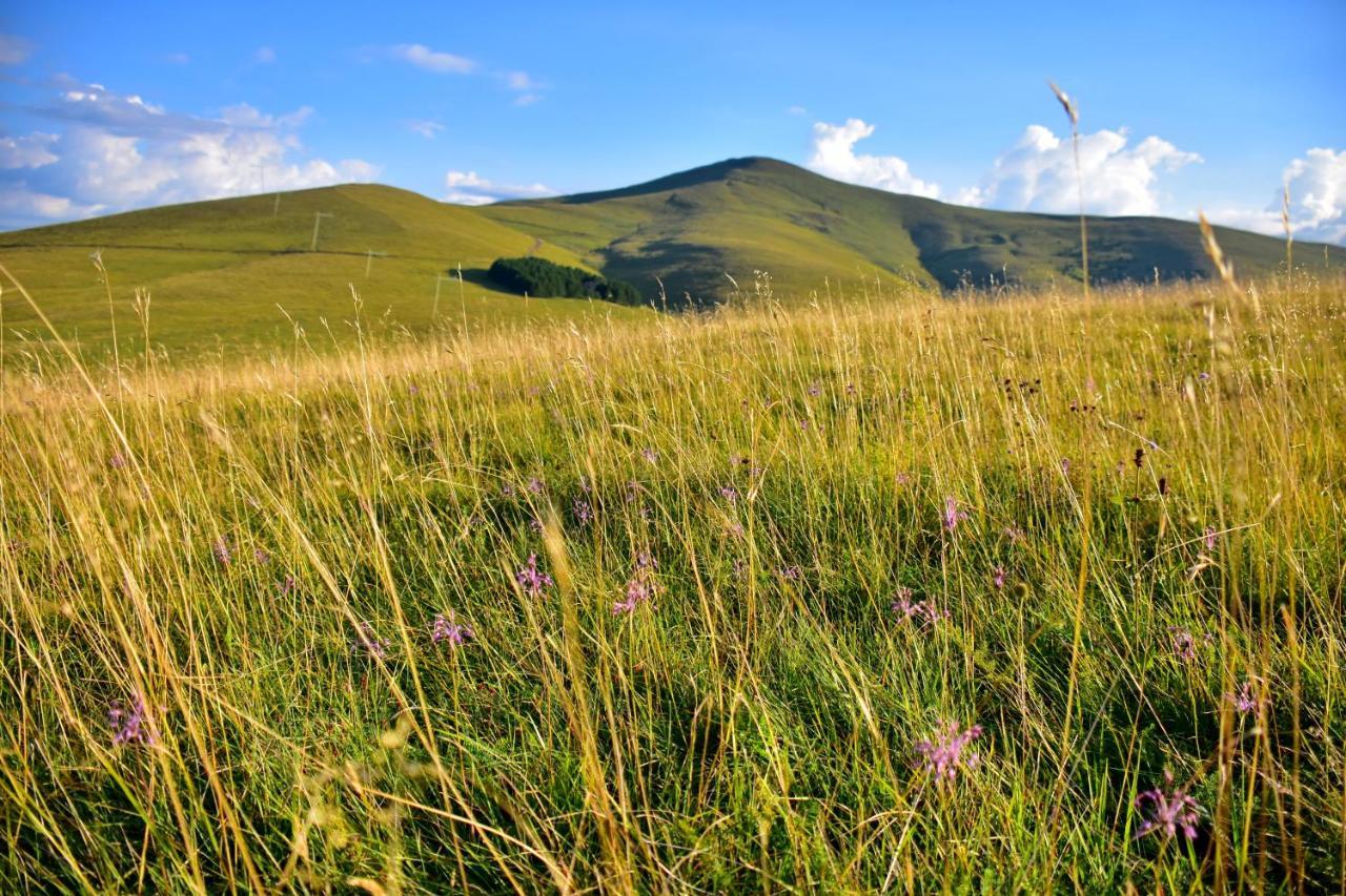 Apartamento Sedmica Zlatibor Vip Bogic Exterior foto