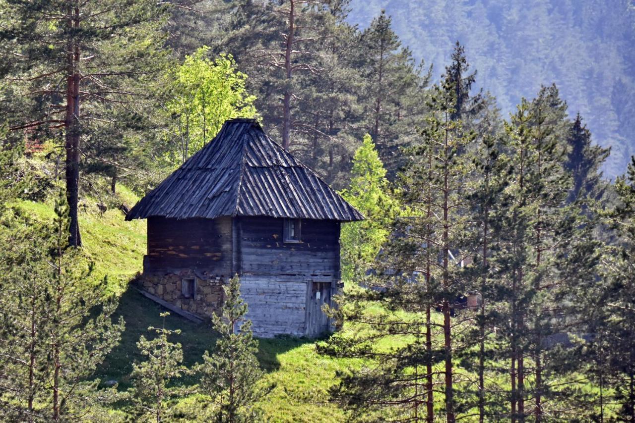Apartamento Sedmica Zlatibor Vip Bogic Exterior foto